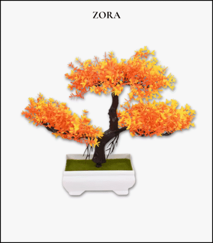 Cây Bonsai Mini Trang Trí Bàn Làm Việc