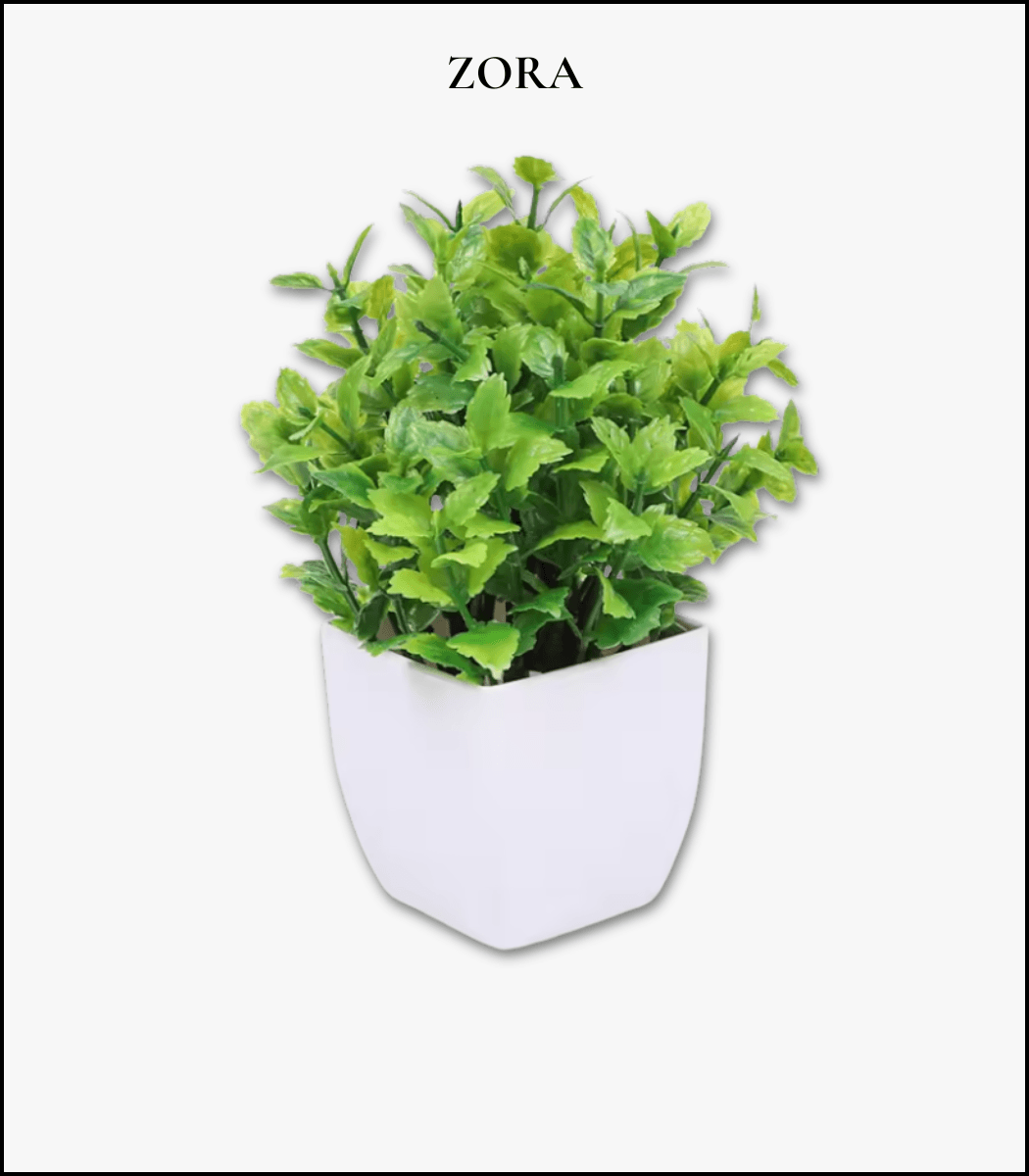 56 Cây Bonsai Giả Mini Eucalyptus 7cm – Chậu Vuông Trắng Trang Trí Bàn Làm Việc & Phòng Ngủ