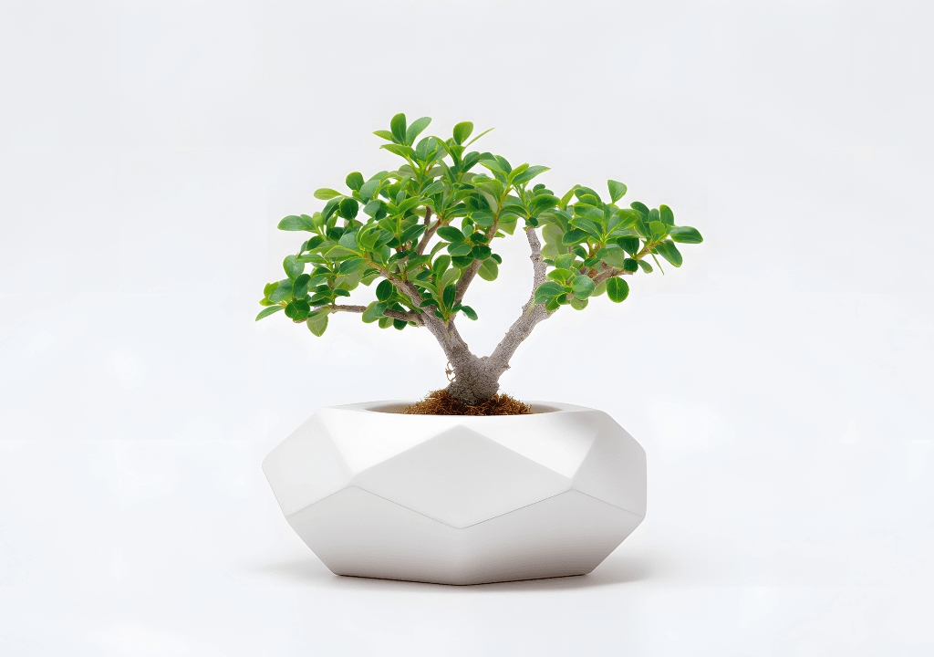Bonsai giả mini để bàn – Điểm nhấn decor tinh tế